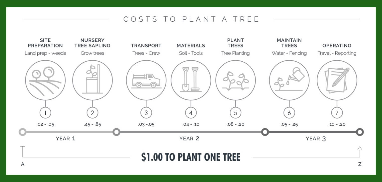 one tree planted