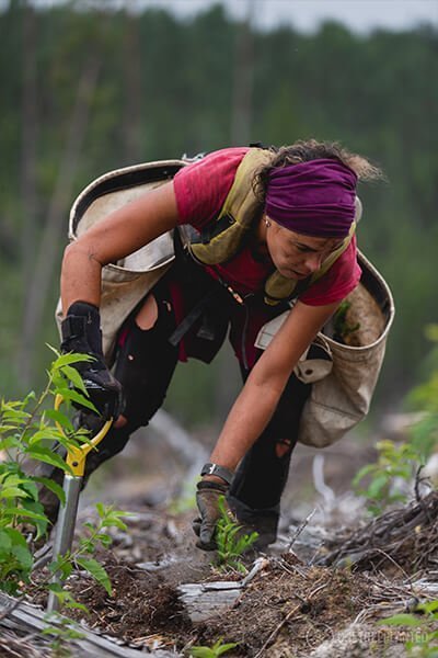 one tree planted