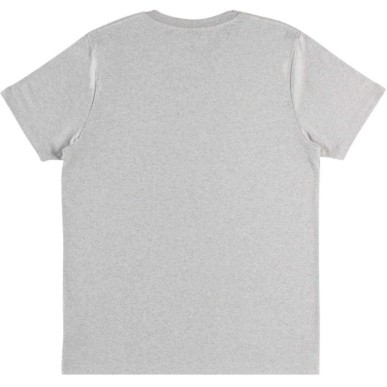Camiseta gris manga corta algodón ogánico - Holocene Classics Espalda