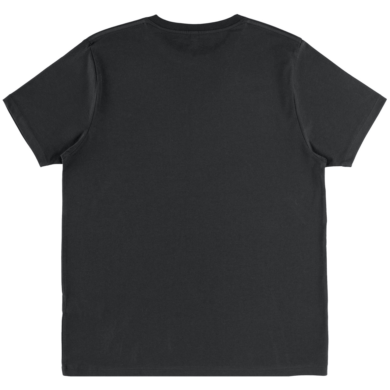 Camiseta negra manga corta algodón ogánico - Holocene Classics Espalda
