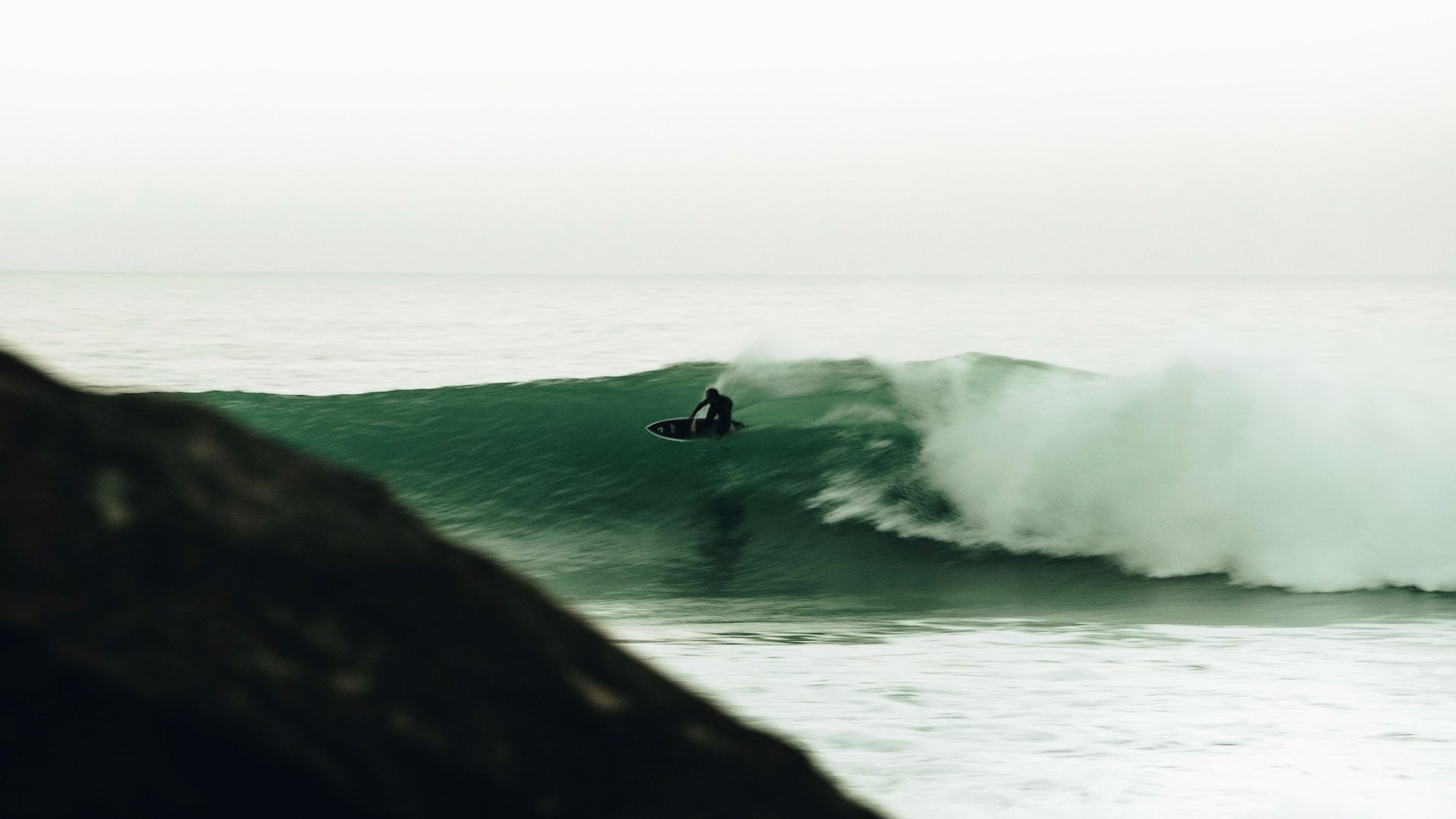 Surfers Collective Surfers Collective